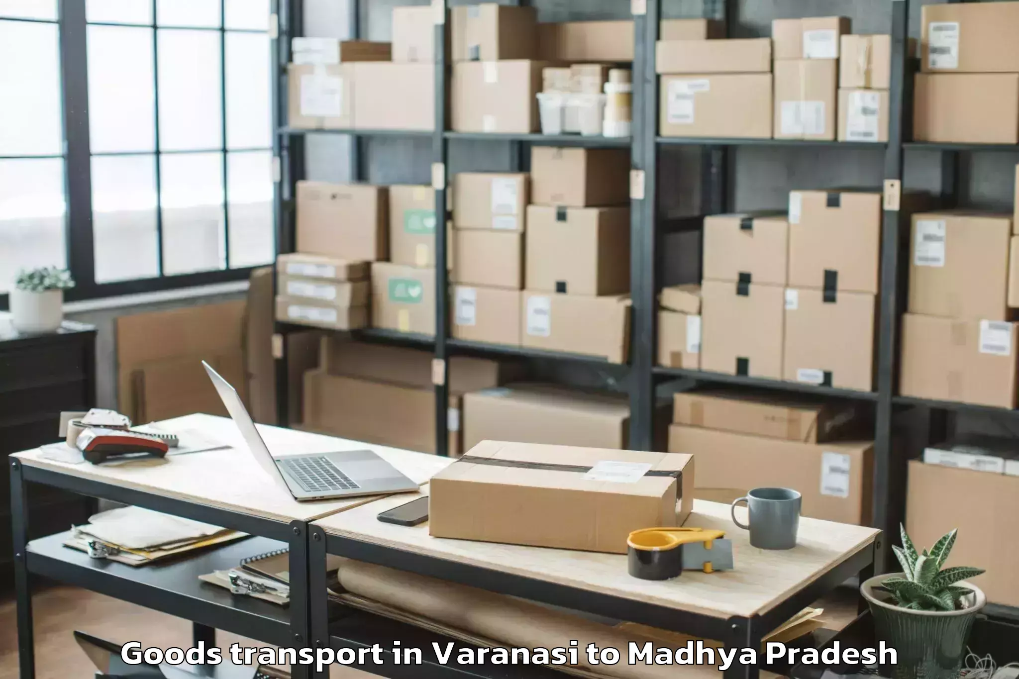 Professional Varanasi to Malhargarh Goods Transport